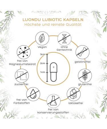 Cultures Complex - 350 Billion KBE/g 20 Strains & Organic Acacia Fiber - Vegan Gastrointestinal Support - 180 Capsules - Buy Online on GoSupps.com