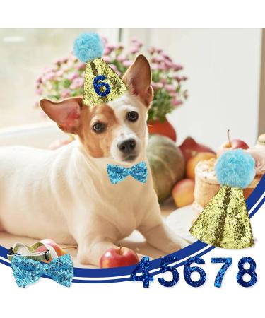 Dog Birthday Hat Pet Birthday Hat Kit with Bow Tie Collar and Blue Number Reusable Dog Cats Birthday Cap for Pet Puppy Cat Birthday Party Decorations Pet Costumes Headwear Accessories (Blue) - Buy Online on GoSupps.com