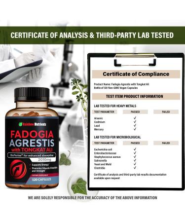 Fadogia Agrestis & Tongkat Ali Supplement - 15 000mg Fadogia + 100 000mg Tongkat Ali + BioPerine - Boost Stamina Strength & Muscle Health - Non-GMO Made in USA - 120 Capsules - Buy Online on GoSupps.com