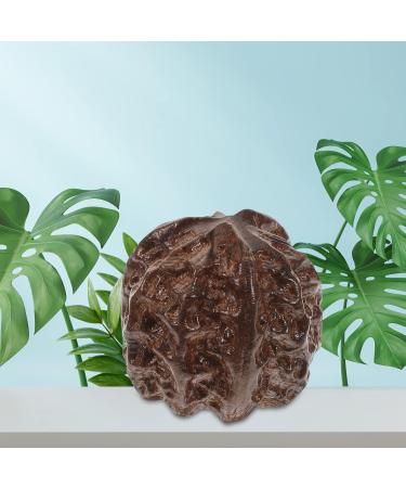 Homsfou 2-Piece Baoding Balls | Handmade Chinese Walnut Massage & Stress Relief Fitness Balls - Buy Online on GoSupps.com