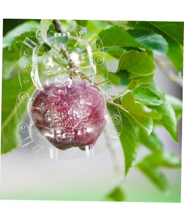 ORFOFE 2pcs Shaped Growth Fruit Buddha Baby Shaper Small Watermelon Accessories - Buy Online on GoSupps.com