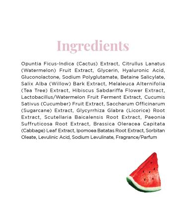 Glow Recipe Watermelon Glow PHA + BHA Pore-Tight Face Toner - Hydrating & Exfoliating Toner with Cactus Water, Cucumber & Tea Tree - 150ml - Buy Online on GoSupps.com