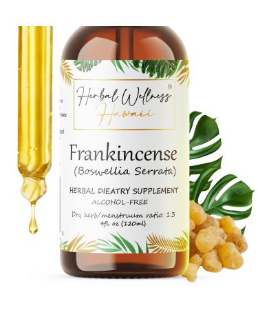 Frankincense Liquid Extract - Herbal Wellness Supplement Boswellia Serrata Dried Resin Tincture Alcohol-Free 4 Fl.oz 4 Fl Oz (Pack of 1)