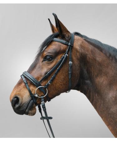 Star WALDHAUSEN Bridle Diamond Black Warmblood