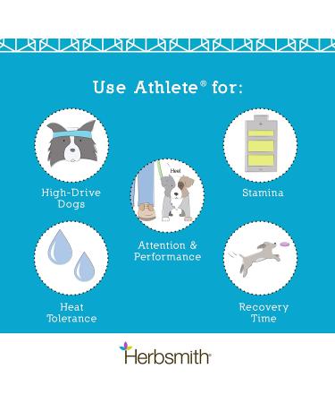 Herbsmith Athlete Canine Endurance Supplement 500g Powder - For Working and Agility Dogs - Buy Online on GoSupps.com