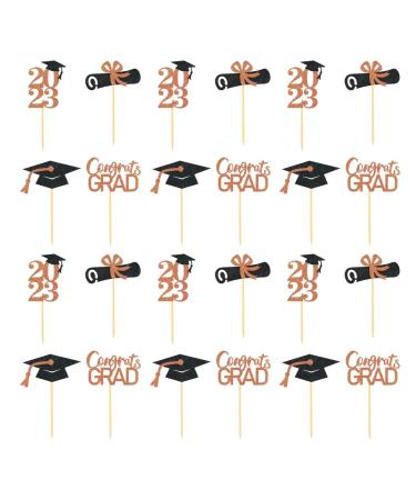 WOTEG Graduation Cupcake Toppers 2023 | Graduation Theme Cupcake Toppers - Grad Caps Food Appetizer Picks Cake Graduation Party Decorations Diploma Cupcake Picks for Cake Rose Gold