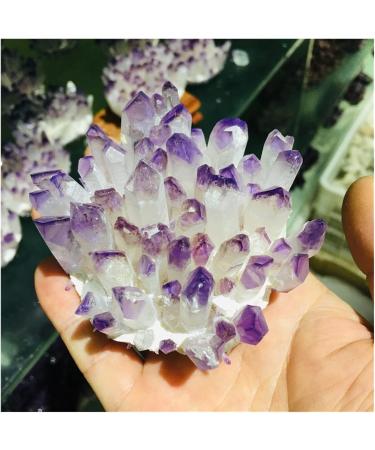 Natural Crystal Cluster Amethyst Specimen Ore Purple Quartz Reiki Stone Raw Crystal Home Decor Decoration Gift (Size : 500-600) - Buy Online on GoSupps.com