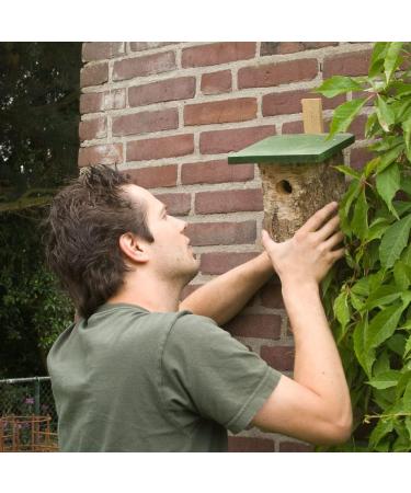 Natural Birch Log Nest Box 32mm Hole - popular with Great Tits Pied Flycatchers Tree Sparrows and House Sparrows - Buy Online on GoSupps.com