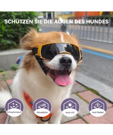 Petleso UV Protection Glasses for Small Dogs - Wind & Eye Protection Sunglasses for Motorcycle & Dog Bike Basket - Buy Online on GoSupps.com
