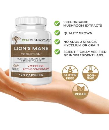 Lions Mane Brain and Focus Supplements - 120 Mushroom Extract Capsules for Cognitive Health - Non GMO & Gluten Free - Buy Online on GoSupps.com