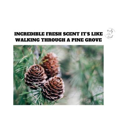 Lightfoot's Pine Soap for Men | All-Natural Pine Scented Body & Hand Soap Set (3 Bars) with Soap Holder | Perfect Athletic Soap - Buy Online on GoSupps.com