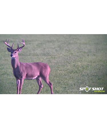 WiFi Spotting Scope Camera w/Screen | SME | One Size - Buy Online on GoSupps.com