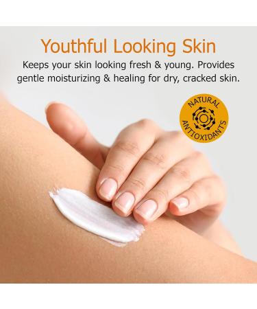 Fruit of the Earth Vitamin E Lotion 16 oz (2 Pack) 16 Fl Oz(2 Pack) - Buy Online on GoSupps.com