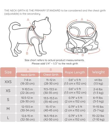 Buy Bella & Pal Step-In Dog Harness for Small Dogs - Reflective Breathable Air Mesh with Leash | XS Coral Pink (30-35cm) - Perfect for Puppies & Cats - Buy Online on GoSupps.com