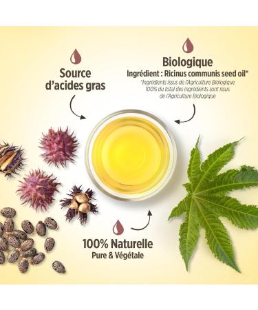  Plan te au Naturel Organic Castor Oil 250ml - Cosmos Organic - Plan te au Naturel - 100% Natural and Cold-Pressed - Skin hair eyelashes etc. - Buy Online on GoSupps.com