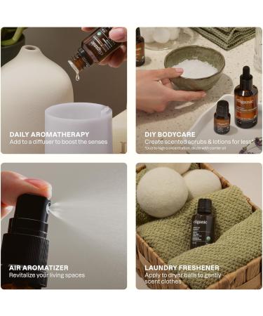 Cliganic Sleep Surrender Organic Essential Oil Blend 0.51 Fl Oz Carefully Crafted with Vetiver Lavender Frankincense Clary Sage Ylang Ylang Marjoram & Spearmint Calming Aromatherapy Oil - Buy Online on GoSupps.com