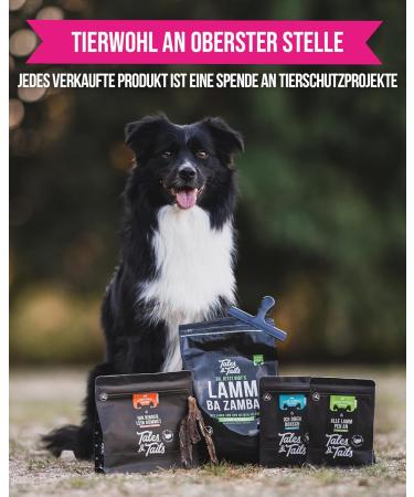 Tales & Tails Salmon Oil for Dogs - Omega 3 Natural Additives 8x240ml Pack | Healthy Dog Food Supplement - Buy Online on GoSupps.com