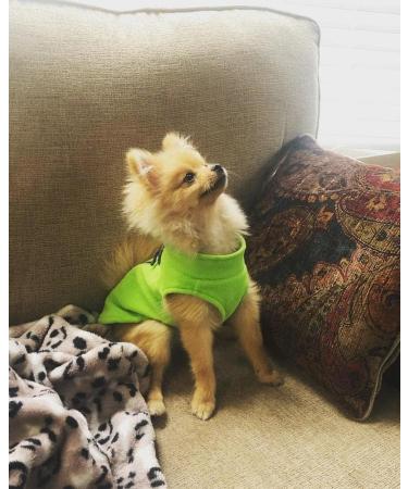 Gooby Fleece Vest Dog Sweater - Lime Large | Warm Pullover Jacket for Small Dogs | O-Ring Leash | Winter Coat for Cold Weather | Boy/Girl - Buy Online on GoSupps.com