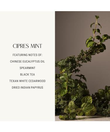 Homecourt Room Deodorant Natural Room Spray Fragrance of Spearmint & Cedarwood For Kitchen Bathroom & more Clean Formula Cipres Mint 3.4 oz - Buy Online on GoSupps.com