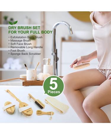 Dry Brushing Body Brush Set of 5  Natural Bristle Body Brush with Detachable Long Handle  Face Brush  Pumice Stone for Feet  Back Scrubber  Cellulite Massager Brush for Cellulite  Lymphatic Drainage wood-1 - Buy Online on GoSupps.com