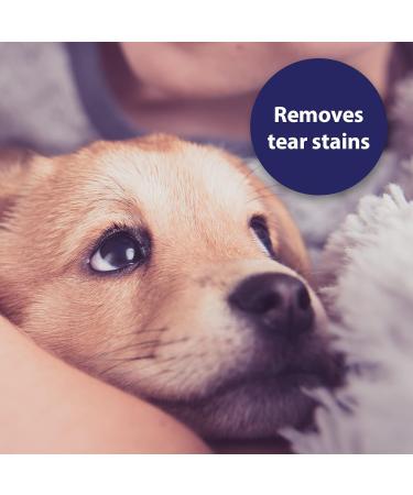Canosept Dog Eye Wipes 100 Pads - Tear Stain Remover and Dog Eye Cleaner - Buy Online on GoSupps.com