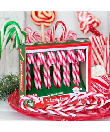 Mijoma Canmate Strawberry Candy Canes - Red/White Striped - Natural Colors - Perfect Christmas Tree Decorations & Gift Hangers - Coxy Christmas (72 x 12g) - Buy Online on GoSupps.com