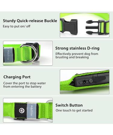 LED Light Up Dog Collar - USB Rechargeable, Waterproof, Adjustable - Green - M(38-50cm/15-19.7inch) - Buy Online on GoSupps.com