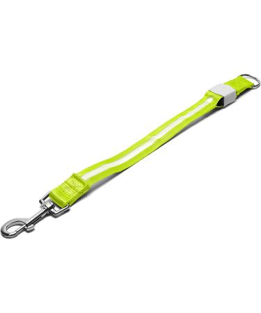 Furhaven Pet Hands-Free Bungee Dog Leash with LED Collar and Safety Features - Multiple Colors and Sizes - Buy Online on GoSupps.com