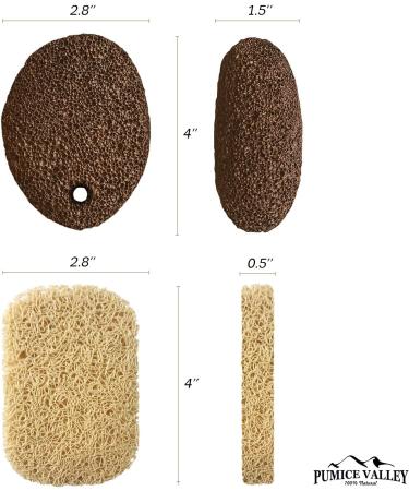 Pumice Stone for Feet Callus Remover - Natural Lava Foot Scrubber for Dead Skin Removal - Exfoliating Stone for Dry Cracked Heels & Hands - Buy Online on GoSupps.com