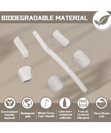 EZ Eyebrow Razor - 6 Eco-Friendly Biodegradable Dermaplane Razors for Women | Safe Face & Body Grooming - Buy Online on GoSupps.com