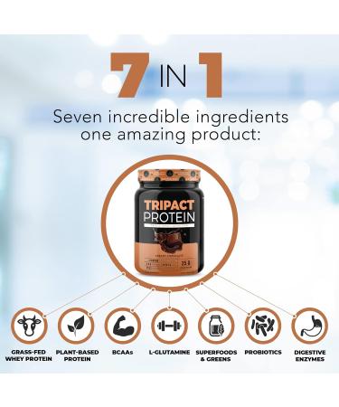 Nutrology TRIPACT Protein - Premium Nutrition Shake - Non-GMO Grass Fed Whey Protein Plant Proteins Greens Superfoods & Probiotics - 5g BCAAs - Creamy Chocolate & VanillaLatte w/Cinnamon 1.5lb Each - Buy Online on GoSupps.com