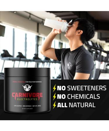 Premium Hydration Powder for Carnivore Diet | Keto Friendly Electrolyte Supplement - 90 Servings Unflavored - Optimal Energy & Recovery - Buy Online on GoSupps.com