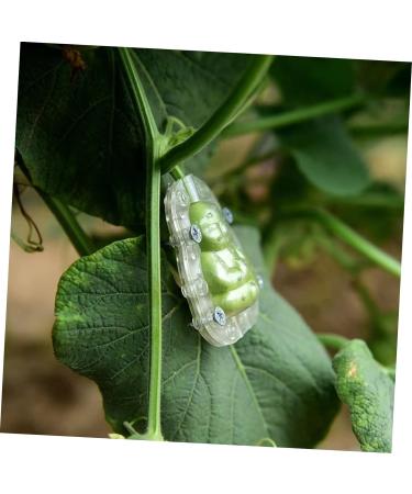 Sosoport 20 Pcs Fruit Mold Fruit Planting Mold Adorable Forming Mold Clear Fruit Buddha Shaped Cake Mold Garden Fruit Mould Growth Clear Mold Fruits Mold 3D Gourd Little Buddha Plastic 7.5X5.7cmx5pcs As Shownx5pcs - Buy Online on GoSupps.com