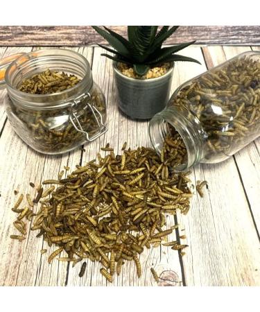 Dried Calciworms 2kg Premium Wild Bird & Hedgehog Food Insect 2 kg (Pack of 1) - Buy Online on GoSupps.com