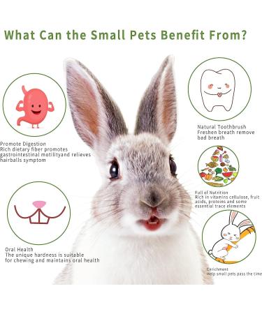 Petawi Rabbit Chew Toys 42PCS Natural Timothy Hay Sticks Bunny Toys for Rabbit Hamster Guinea Pig Chew Toys Treats Chews for Teeth for Bunny Chinchilla Rat Gerbil Small Animals - Buy Online on GoSupps.com