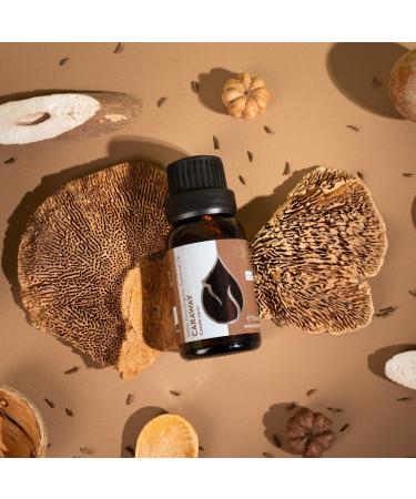 Organic Caraway Essential Oil 15ml - 100% Pure & Natural | Therapeutic Grade Aromatherapy | Cruelty Free, Non-GMO, Vegan - Essences Bulgaria - Buy Online on GoSupps.com