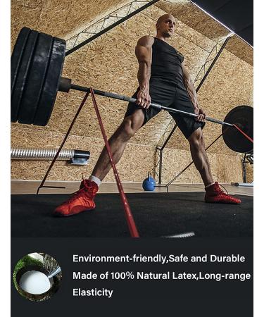 Eackrola Pull Up Assistance Bands Set - Set of 6 Heavy Duty Resistance Bands for Workout Exercise - Includes Instruction Guide and Carry Bag - Buy Online on GoSupps.com