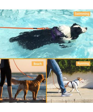 Vivifying 6m Waterproof Towline for Dogs - Padded Handle for Recall Training Hiking Swimming Beach & Lake - Orange - Buy Online on GoSupps.com