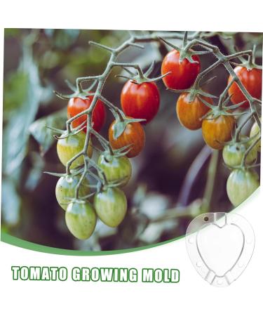 BCOATH 2 Sets Heart Shaped Tomato Mold Tomatoes Fruit Accessory Convenient Fruits Plastic Shaping Abrasives - Buy Online on GoSupps.com