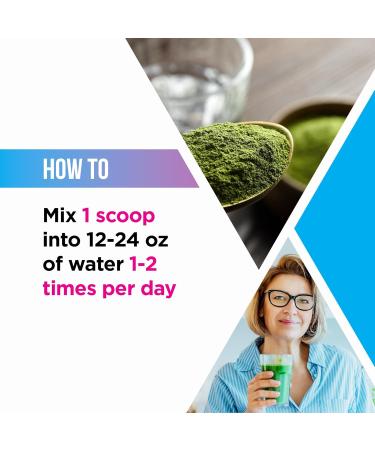Livingood Daily Greens & Superfood Powder Super Greens for Gut Health Green Juice Powder with Spirulina Chlorella and Digestive Enzymes Probiotics for Digestive Support Chocolate 30 Servings - Buy Online on GoSupps.com