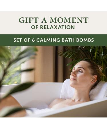 Christmas Gifts for Women: 6Pcs Bath Bombs Gift Box with Essential Oils & Shea Butter - Vegan Skincare by Satin Naturel - Buy Online on GoSupps.com