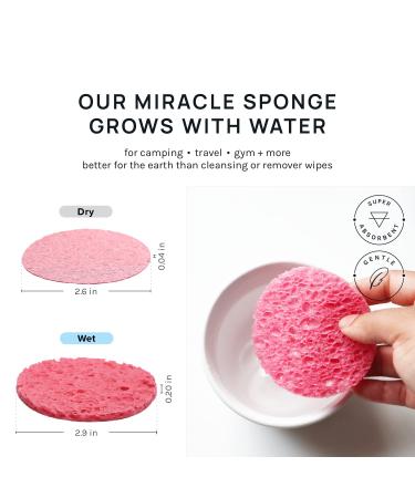 AOA Studio 50-Count Compressed Facial Sponges - 100% Natural Spa Sponges for Cleansing and Exfoliating (Pink, Pack of 50) - Buy Online on GoSupps.com
