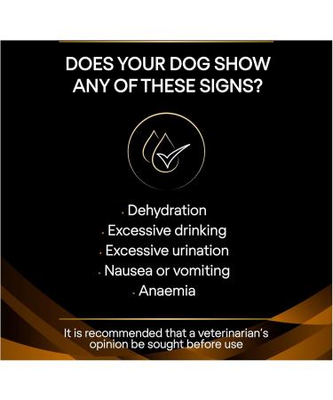 Pro Plan Veterinary Diets NF Renal Function Dog Food 12 kg - Buy Online on GoSupps.com