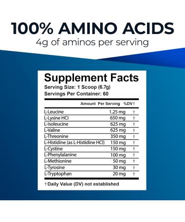 Ultimate Amino Complex Powder - 30 Servings All 9 Essential Amino Acids Vegan Non-GMO Berry Flavor Energy & Recovery Supplement - Buy Online on GoSupps.com