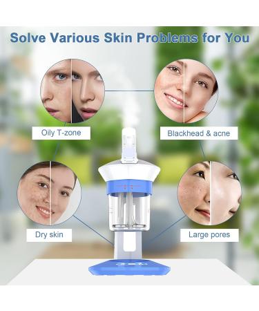 Face Steamer Deep Cleansing Moisturizing Oil Control Portable Ion Vapour Ozone Steamer for Facial Care and Facial Cleansing Home Use Aromatherapy Humidifier - Buy Online on GoSupps.com