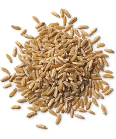Organic Kamut Grain 1kg (BWFO) - Buy Online on GoSupps.com