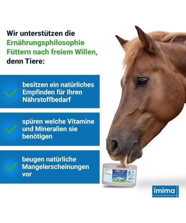 Buy Imima Mineralleckstein Horse Biotin + Plus Salzleckstein Set (2 x 3kg) - Mineral Salt Lick Stones for Horses Sheep & Goats - 6kg Pack - International Shipping Available - Buy Online on GoSupps.com
