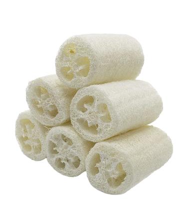 Luffa sponge 6 pcs Luffashwamm Luffa natural luffa sponge body washer biodegradable luffa sponges for shower scrubs kitchen cleaning white