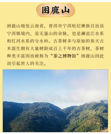 Pu-erh tea 2020 SHENG JIA YUAN Sleepy Deer Mountain 357g Raw - Buy Online on GoSupps.com