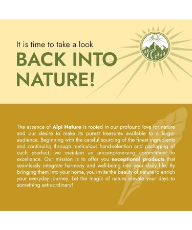  Alpi Nature Alpi Nature Dandelion Roots and Leaves Herbal Tea 120 Tea Bags 180 g Pack of 6 x 20 Sachets of 1.5 g - Buy Online on GoSupps.com